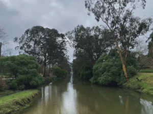 Marismas de A Xunqueira de Alba.